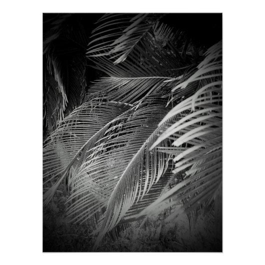 Poster Feuille (Devant)