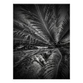 Poster Feuille (Devant)