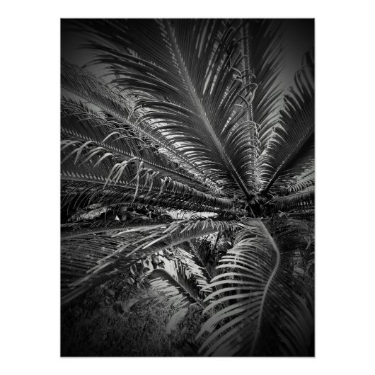 Poster Feuille (Devant)