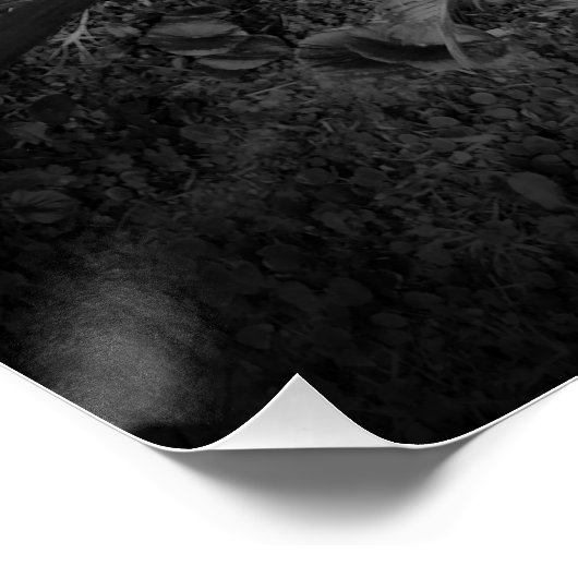 Poster Feuille (Coin)