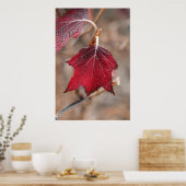 Poster Feuille (Cuisine)