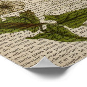 Poster feuille botanique moderne vintage (Coin)