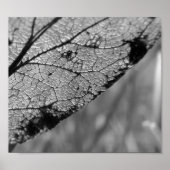 Poster Feuille d'automne 2 - B&W (Devant)