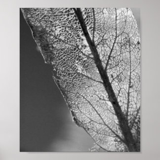 Poster Feuille d'automne - B&W