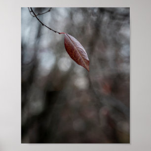 Poster Feuille d'automne simple bordeaux sur une mince br