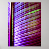 Poster (Feuille de banane) (Devant)