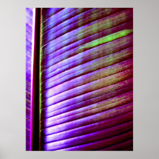 Poster (Feuille de banane)