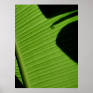 Poster Feuille de banane hawaïenne