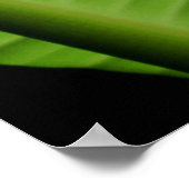 Poster Feuille de banane hawaïenne (Coin)