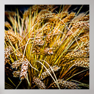 Poster Feuille De Blé - Merci