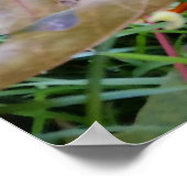 Poster feuille de couleur ambre (Coin)