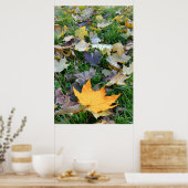 Poster feuille de couleur ambre (Cuisine)