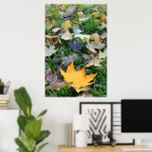 Poster feuille de couleur ambre (Bureau à domicile)