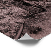 Poster Feuille de couleur sur photo noir et blanc (Coin)