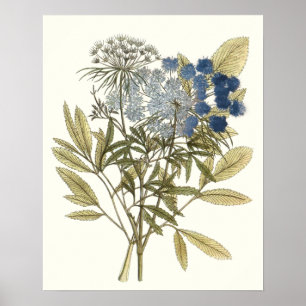 Poster Feuille de dentelle - fleurs et verdure