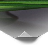 Poster feuille de ficus (Coin)