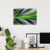 Poster feuille de ficus (Bureau à domicile)