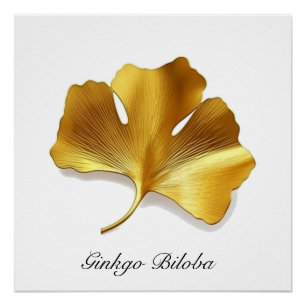 Poster Feuille de Ginkgo dorée - Symbole de Longévité et
