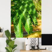 Poster Feuille de l'Arbre de Soie Perse (Bureau à domicile)