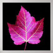 Poster Feuille de Maple rouge d'automne sur fond floral n (Devant)