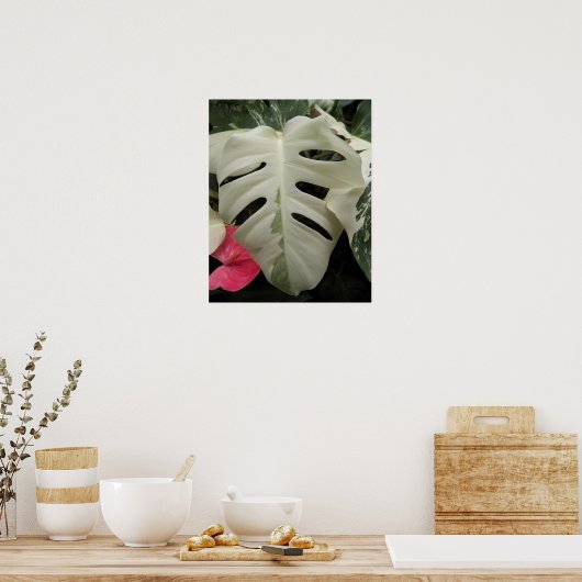 Poster Feuille de Monstera fleurie panachée (Cuisine)