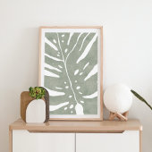 Poster Feuille de Monstera, plante vert sauge
