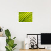 Poster Feuille de palme (Bureau à domicile)
