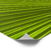 Poster Feuille de palmier tropical vert (Coin)