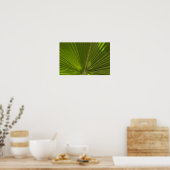 Poster Feuille de palmier tropical vert (Cuisine)