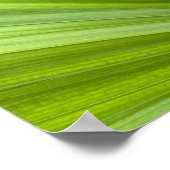 Poster Feuille de palmier tropical vert abstrait (Coin)