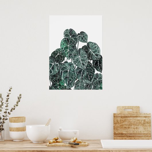 Poster Feuille de Plante d'anthurium (Cuisine)