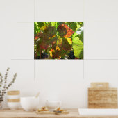 Poster - Feuille de raisin rouge sur la vigne (Cuisine)