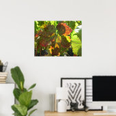 Poster - Feuille de raisin rouge sur la vigne (Bureau à domicile)