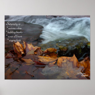 Poster Feuille de Serenity Creek