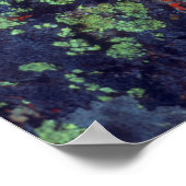 Poster Feuille de tremble sur une roche couverte de liche (Coin)