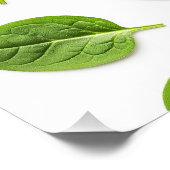 Poster Feuille d'épinards bio Motif sans couture (Coin)