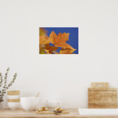Poster Feuille d'érable d'automne et ciel bleu, Blanc (Cuisine)