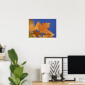 Poster Feuille d'érable d'automne et ciel bleu, Blanc (Bureau à domicile)