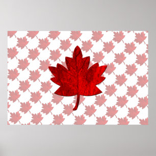 Poster Feuille d'érable du Canada par Shirley Taylor
