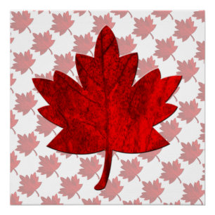 Poster Feuille d'érable du Canada par Shirley Taylor