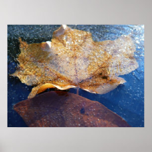 Poster Feuille d'érable jaune congelée Automne Nature