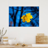 Poster Feuille d'érable jaune en bleu (Cuisine)