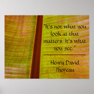 Poster Feuille d'inspiration