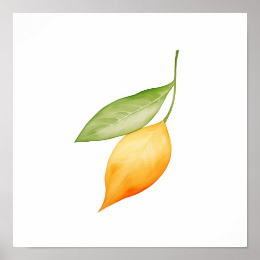 Poster Feuille d'orange (Devant)