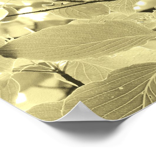 Poster Feuille éclairé (Coin)