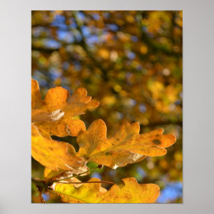 Poster Feuille en chêne jaune