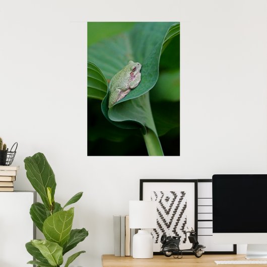 Poster Feuille et grenouille d'Hosta vertes (Bureau à domicile)