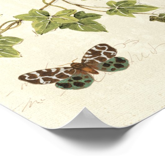Poster Feuille et papillon (Coin)