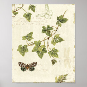 Poster Feuille et un papillon
