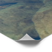 Poster Feuille flottante (Coin)